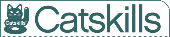 Catskills Digital Music Promo